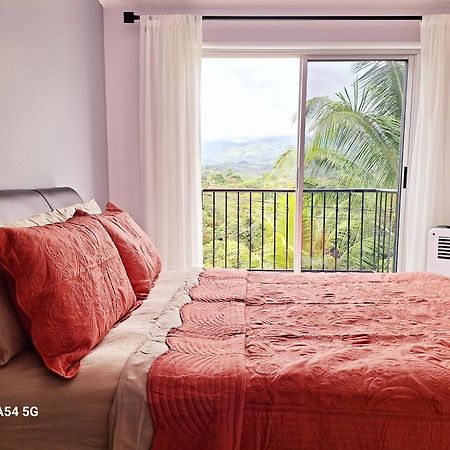 San Isidro De El General Victoria House 호스텔 외부 사진